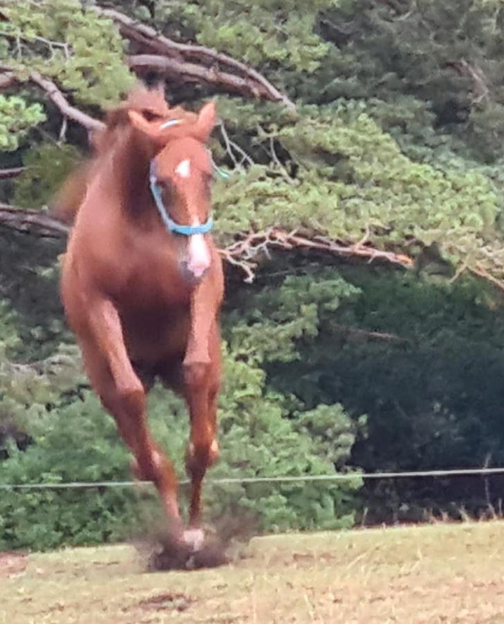 Haras De Seranon Villa ภายนอก รูปภาพ